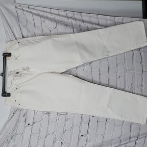 Loft modern straight jeans size 14 NWT